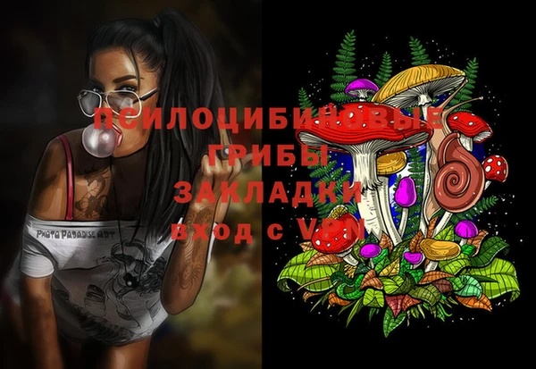 PSILOCYBIN Верхнеуральск